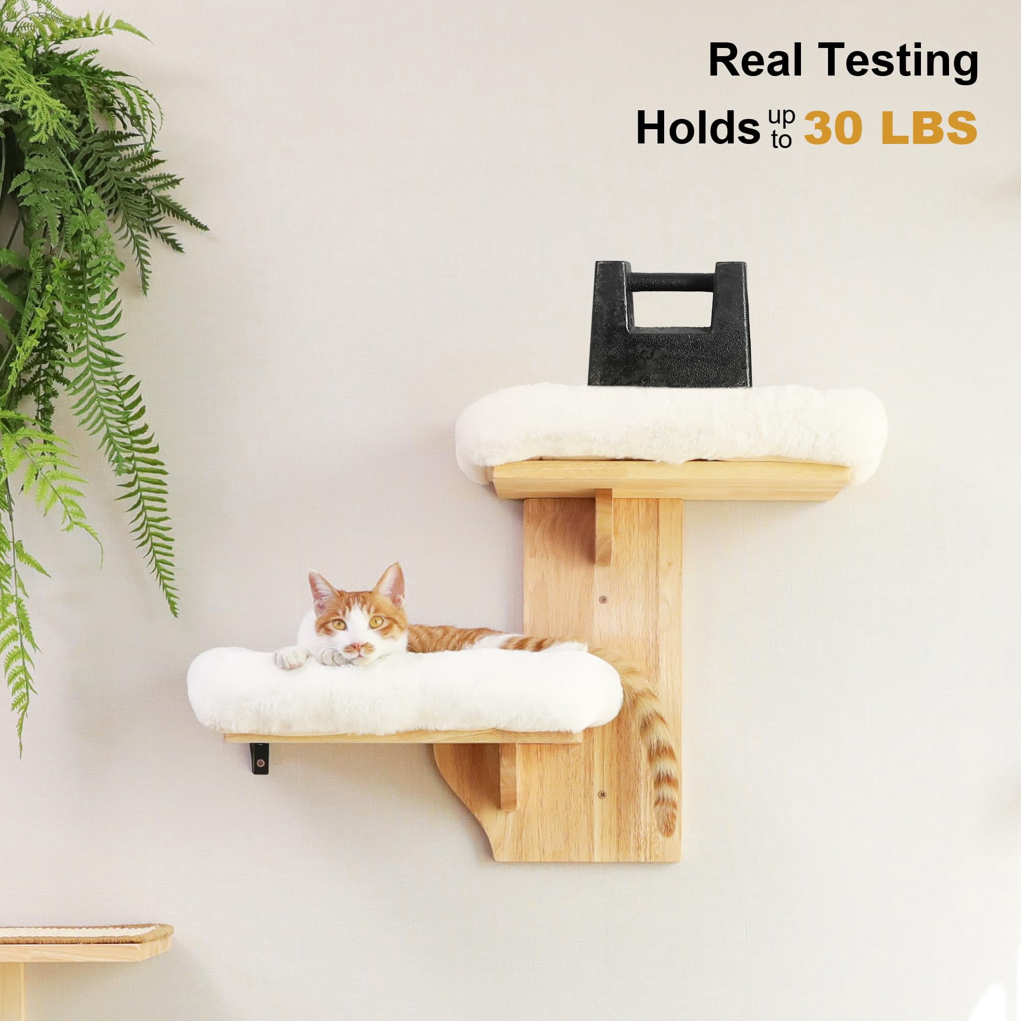 Cat Perch Solid Rubber Wood Wall Shelves With White Cushion, 2 Platform Tree Shape Cat Furniture