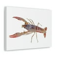 thumbnail image 2 of Majestic Cray Fish Art Majestic Cray Fish Print Animal Wall Art Wildlife Canvas Prints Wall Art Ready to Hang Unframed, 2 of 18