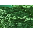 thumbnail image 1 of Ahgly Company Machine Washable Indoor Rectangle Transitional Deep Emerald Green Area Rugs, 2' x 5', 1 of 7