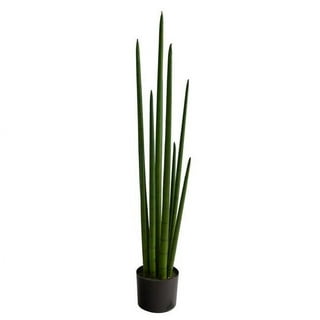 DUZYXI Artificial Snake Plant 16 with White Ceramic Pot Sansevieria Plant Fake Snake Plant Greenery Faux Plant in Pot for Home Office Living Room