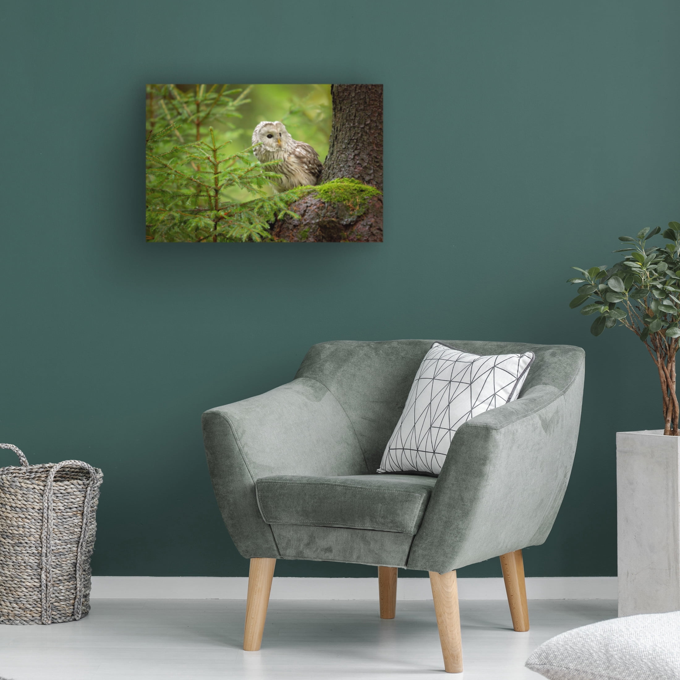 Canvas Wall Art - Milan Zygmunt 'Ural Owl' Wall Art for Living Room, Bedroom, or Office D?cor by Trademark Fine Art - 19 x 12 Inches