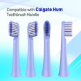 thumbnail image 2 of Têtes de Brosse à Dents Shiyou Compatibles avec Colgate Hum - Têtes de Brosse Compatibles avec Brosse à Dents Électrique Intelligente Connectée Hum, 8 Unités, Bleu, 2 of 4