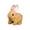 Q, variant on Plush Electric White Rabbit Toy Easter Gift, Realistic Animated Bunny Stuffed Animal that Walks, Talks, Wiggles Ears & Moves Mouth, Interactive Pet Toy