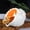 White, variant on Qczoyp White Conch Ceramic Palo Santo Burner, Chiminea Smudge Bowl for Sage & Incense Cones, Energy Cleansing Decor Gift for Yoga Meditation, Ideal for Altar, Tabletop & Cozy Corner