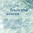 thumbnail image 3 of The Seaweed Bath Co. Gloss Shampoo - Sea Salt Bergamot, 1-12 fl oz, 3 of 5