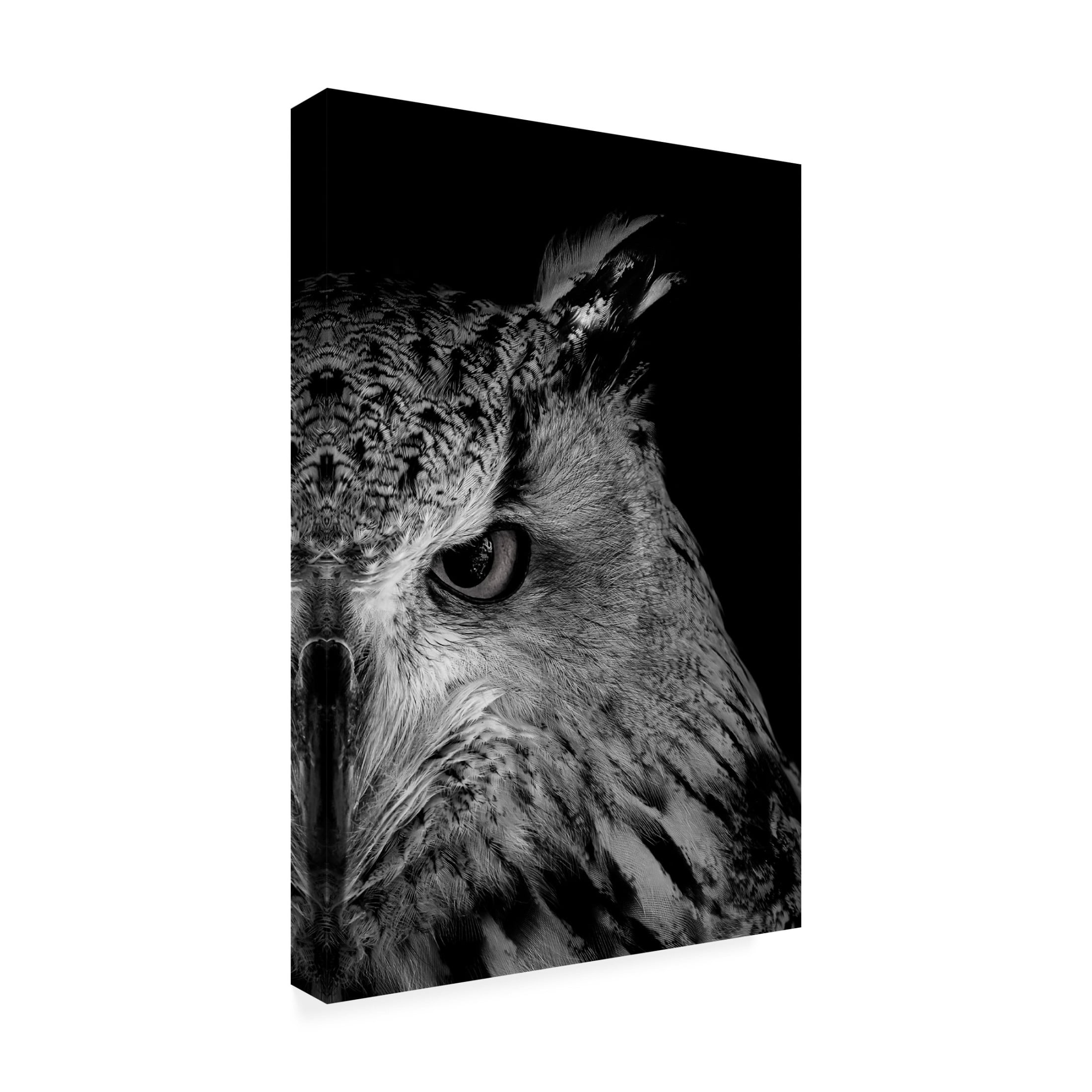Trademark Fine Art Makihiko Hayama glint in eye Canvas Wall Art