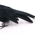 thumbnail image 5 of Zhourta Ealistic Crow Black Feathered Crow Simulation Crow Ornaments Halloween Decorations Crows for Halloween Decorations Birds Holiday Party Home Decoration, 5 of 6