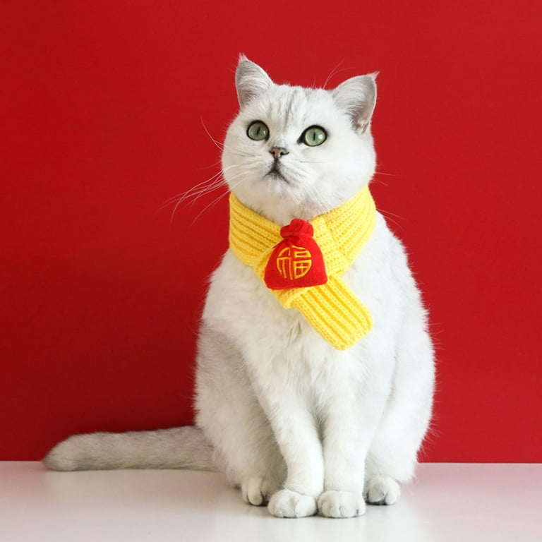 Cat top dog scarf