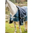 thumbnail image 2 of Horseware AmECO Liner (100g Medium-Lite), Teal Eco Print (Grey Trim), Size: 66, 2 of 5