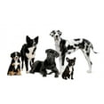 thumbnail image 2 of Group Dogs Wall Decal Sticker, Wallmonkeys Peel & Stick Vinyl Graphic (48 in W x 26 in H), 2 of 4