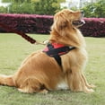thumbnail image 4 of 2M Long Leather Braided Pet Dog Walk Traction Collar Strap Training Leash Lead, 4 of 8