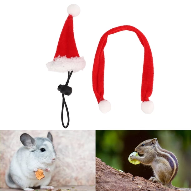 Conjunto De Bufanda Y Gorro Para Mascotas, Selección De Regalo Suave, Ropa Navideña Para Reptiles, Ajustable Para Conejillos De Indias, Lagarto, Hámster