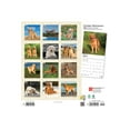 thumbnail image 3 of Golden Retrievers 2022 Square (Other), 3 of 3