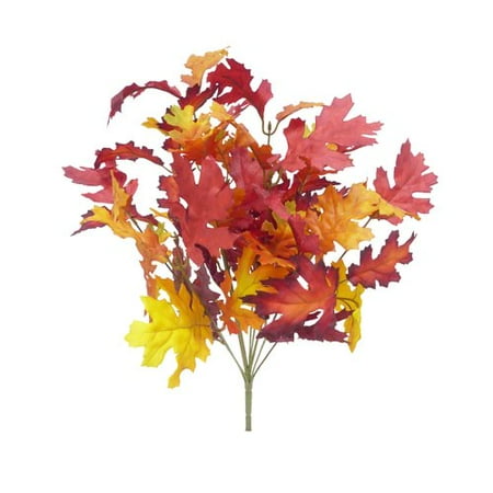 Mixed Oak Bush, Red