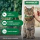 thumbnail image 5 of Gato pequeño Advantage XD para prevención y tratamiento de pulgas, 0,8 a 4 kg, 5 of 9
