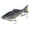 A, variant on Hearth & Gear Robotic Fishing 3D Swimming For Freshwater & Saltwater Fishing Gear Attracts Fishing Trout For Beginners Amateurs And Clam Gear Boys Fresh Water Ice Well Live Well for Ice for Fisherman