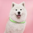 thumbnail image 4 of kusrkot Collier Lumineux LED pour Chat en Nylon Fournitures pour Chiot LED L, 4 of 9