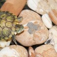 thumbnail image 4 of SKISUNO 10Pcs Multi Rocks For Turtles Habitat Basking Rocks Natural, 4 of 7