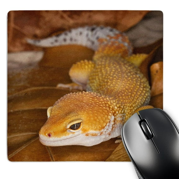 3dRose, Leopard Gecko morph, Lizard, Pakistan-AS28 AJE0000 - Adam Jones, MousePad