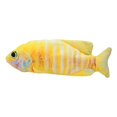 thumbnail image 2 of Juguetes de eléctricos para gatos Juguetes de ejercicio de teaser de Pescado de rayas amarillas Yuyangstore Carpa falsa meneando eléctrica, 2 of 8