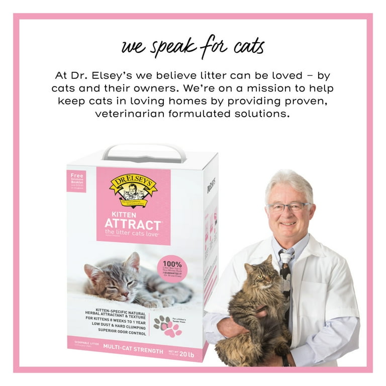 popular wet cat food Weruva Cats in the Kitchen Variety Pack Canned Cat Food - 3.2 oz