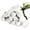 White, variant on Zukuco 15pcs Artificial Roses with Long Stems Silk White Roses Artificial Flowers for Bridal Bouquet Wedding Party Home Decor (White)