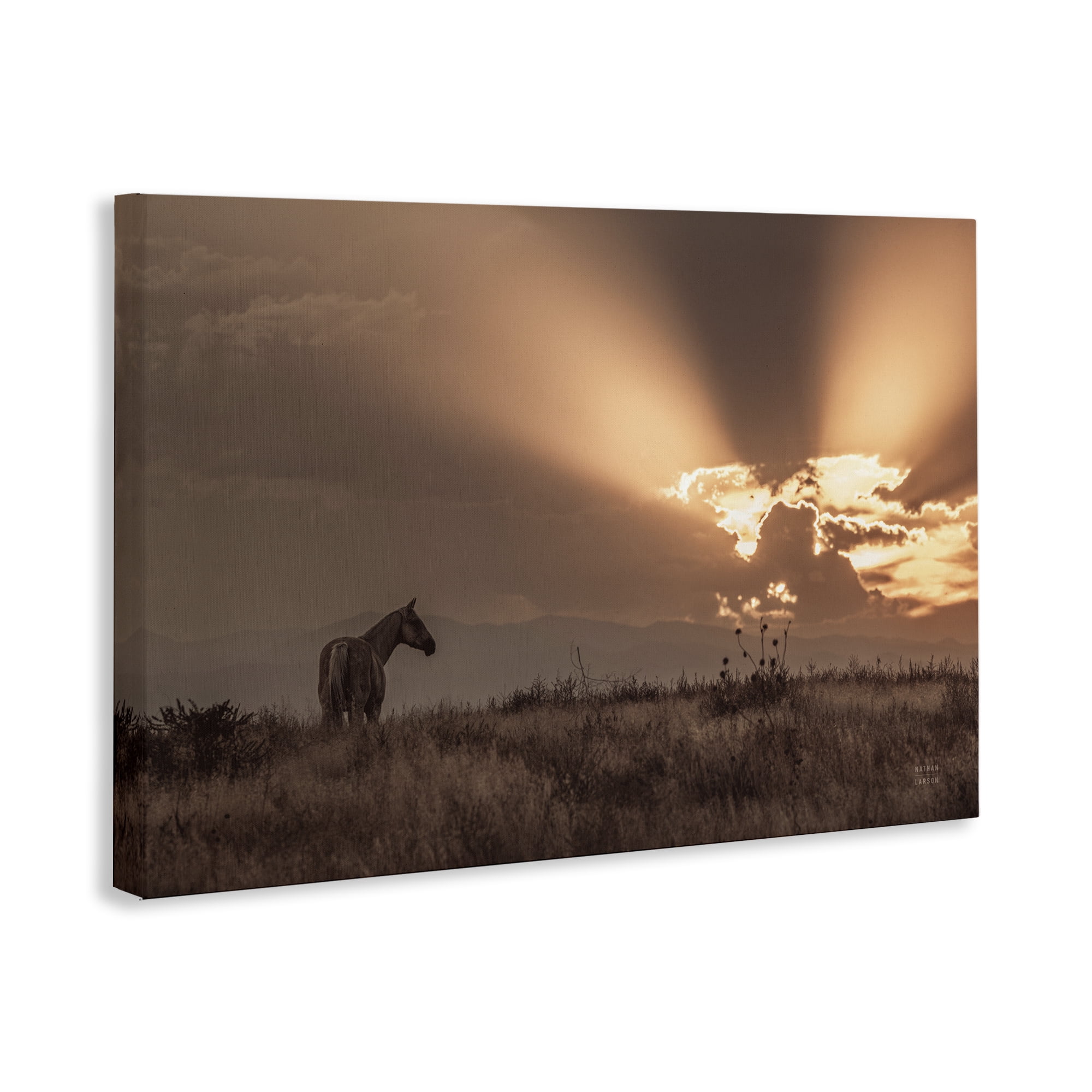 Stupell Industries Faded Sunset with Horse Landscape & Nature Photography Wrapped Canvas Art Print Wall Art, 45 x 30