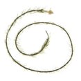 thumbnail image 3 of 1 Uds., aparejos de carpa de , aparejo de anzuelo de pesca, aparejos de pesca de repuesto Zulema Aparejo de pesca de carpa, 3 of 7