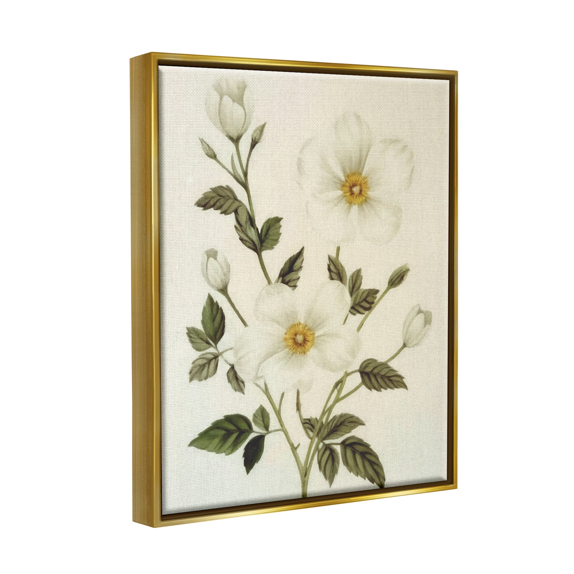 Stupell Industries Vintage Apple Blossoms Botanical & Floral Painting Gold Floater Framed Canvas Art Print Wall Art, 25 x 31