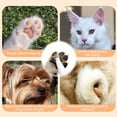 thumbnail image 3 of Recortadora eléctrica para perros Warmow Saffory Paw Trimmer con luz LED, 3 of 7