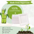 thumbnail image 4 of Platos de papel cuadrados compostables EcoliPak de 7.85 pulgadas, 300 unidades, 4 of 7