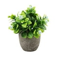 thumbnail image 2 of Becaristey Green Long-lasting Durability Artificial Money Tree In Pot Eco-friendly Elegant Artificial Succulent new blue babysbreath 1Set, 2 of 6