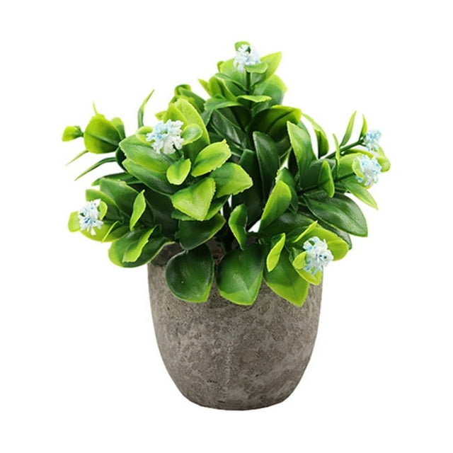 Advancent Elegante planta de jade artificial en maceta para apariencia realista verde interior o exterior Decoración nuevo aliento de bebe azul