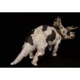 thumbnail image 4 of Nanmu Dinosaurs Triceratops Figure - Unique White/Black Color Animal Model with Distinctive Horn Damage, 4 of 4