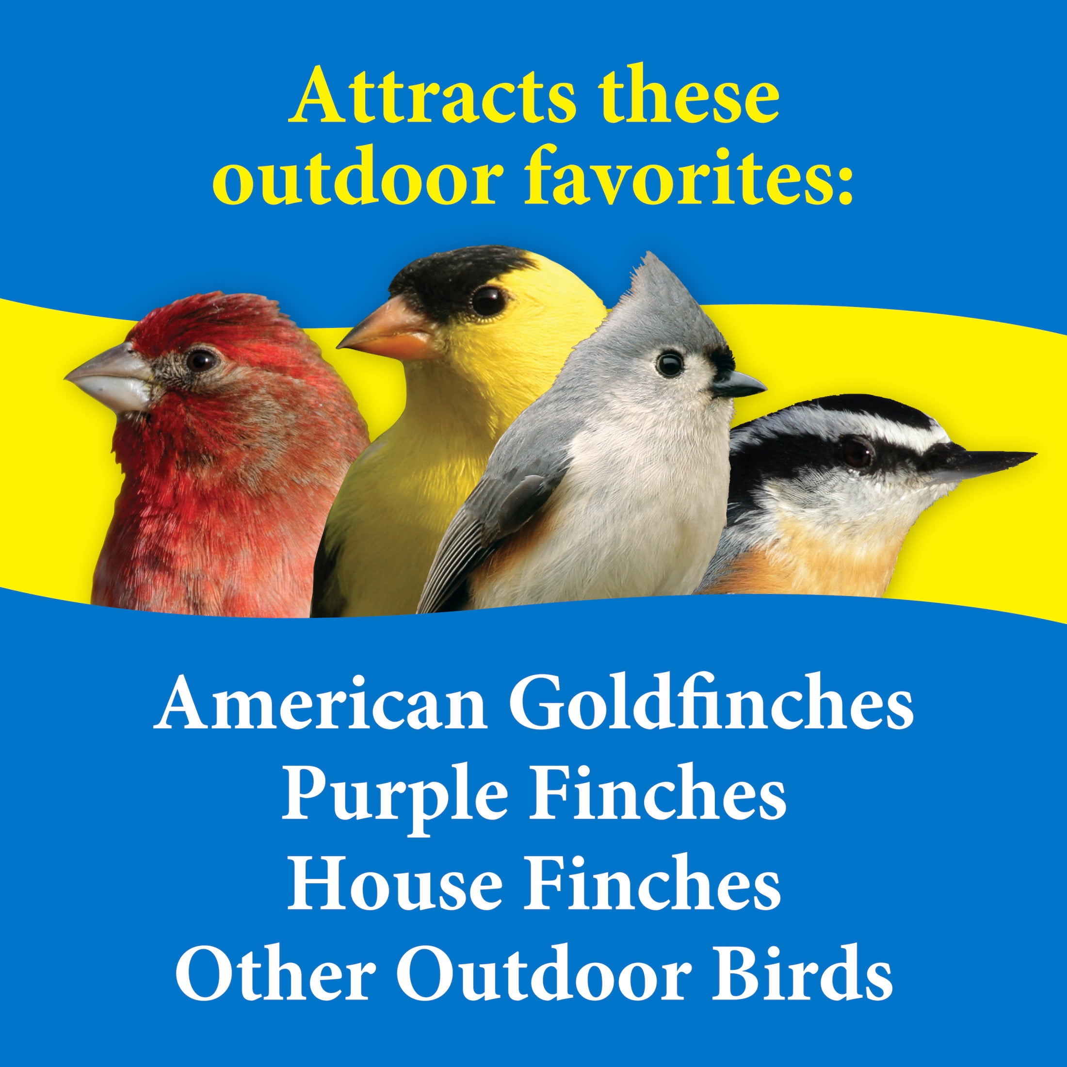 (5 pack) 3-D Pet Products Finch Food Finch Lovers Mix Dry Wild Bird Food, Seeds 5 lb. Bag, 1 Pack