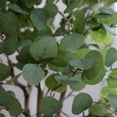thumbnail image 3 of Nearly Natural 6ft. Artificial Eucalyptus Tree with White Decorative Planter, Green, 3 of 7
