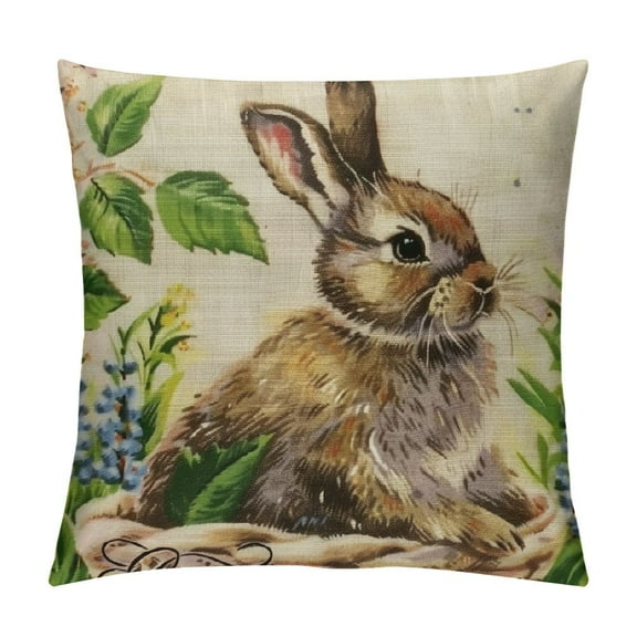 Sheronv Rabbit Easter Beatrix Potter Graphic Decorative Throw Pillow Cover for Home Couch Living Room Sofa - Spring Season Home Decor 1PC 12x12in