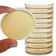 Potato Dextrose Agar Plates - Evviva Sciences - Prepoured Potato Dextrose Agar PDA Petri Dishes - Excellent Growth Medium - Great for Mushrooms & Science Fair Projects