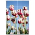 thumbnail image 1 of Picture-Tiles.com: Flowers Ceramic Tile Wall Mural WAL500629-46S. 17"W x 25.5"H using (24) 4.25" x 4.25" Ceramic Tiles-Satin Finish, 1 of 3