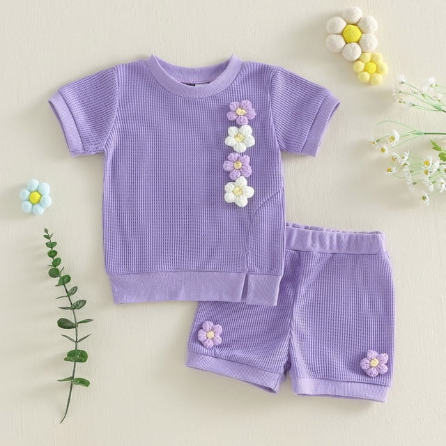 Zpanxa Toddler Girls Outfits Solid Color Floral Embroidery Round Neck Short Sleeve Top with Shorts Set 2-3 Years