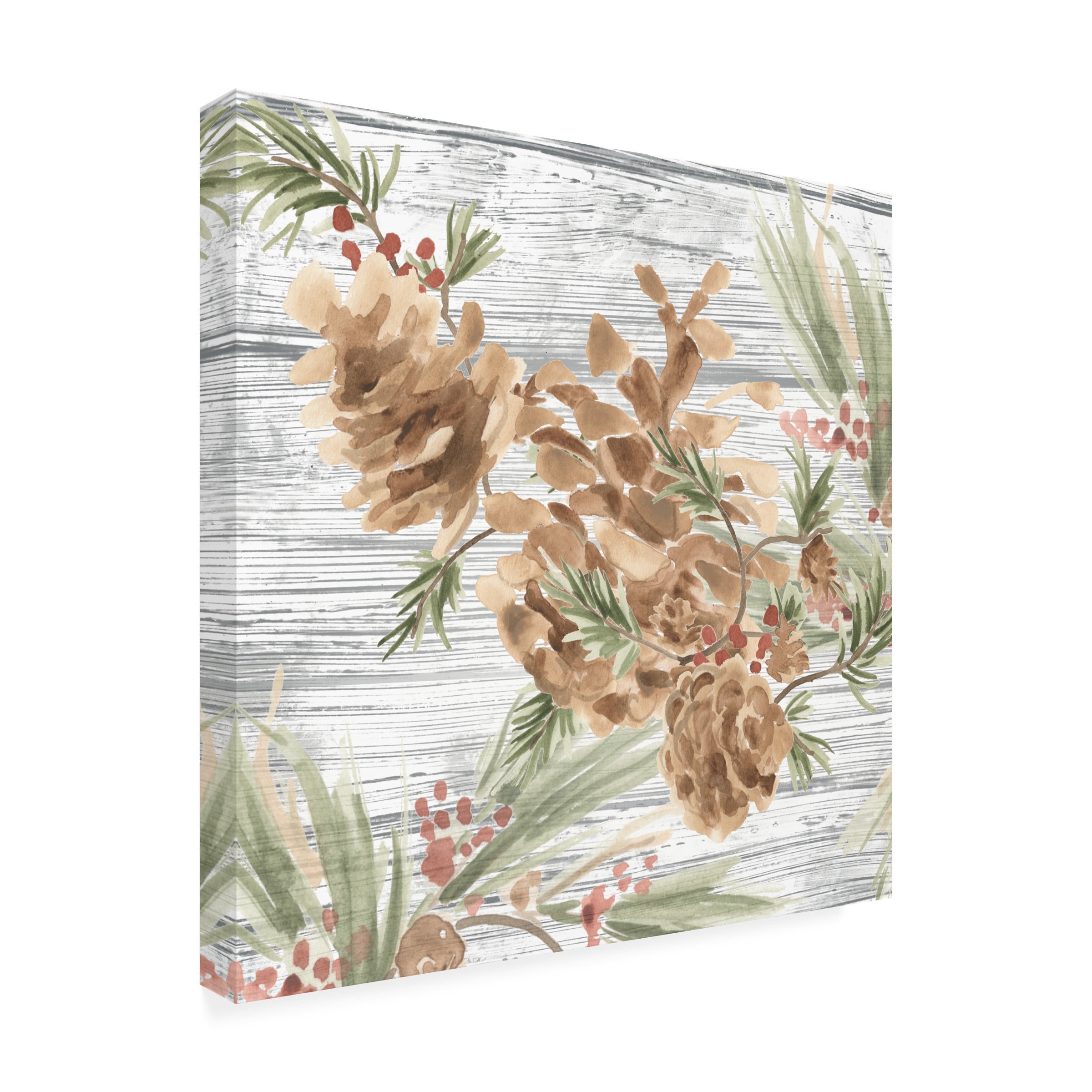 June Erica Vess 'Pinecone Lodge III' Canvas Art