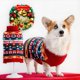 thumbnail image 4 of Suéteres para perros pequeños, suéteres de punto trenzado para clima frío, cuello alto clásico, ropa gruesa y cálida para perros pequeños, medianos y gatos., 4 of 7