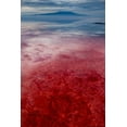 thumbnail image 2 of Souders, Paul 11x14 Gold Ornate Wood Framed with Double Matting Museum Art Print Titled - Africa-Tanzania-Enhanced contrast aerial view of patterns of red algae and salt formations, 2 of 4