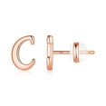 thumbnail image 1 of Dsseng Sterling Silver Stud Earrings  14K Gold, 1 of 6