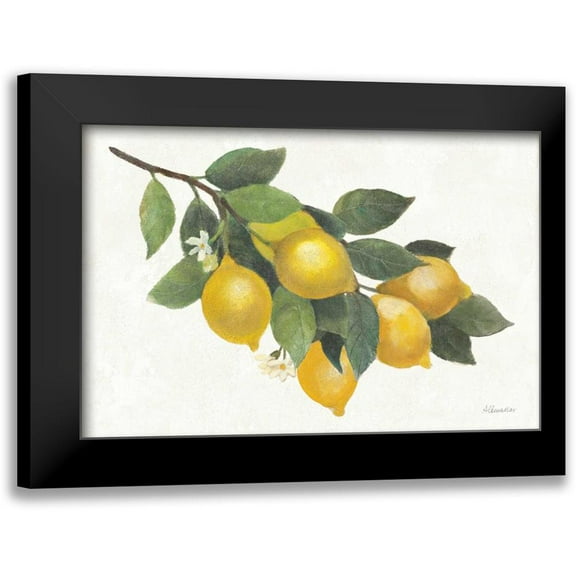 Hristova, Albena 14x11 Black Modern Framed Museum Art Print Titled - Lemon Branch I