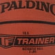 thumbnail image 5 of Balón de Baloncesto Spalding TF-Trainer con Peso 1,36 kg para Interior 28,5 cm, 5 of 6