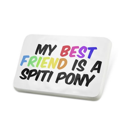 Porcelein Pin My best Friend a Spiti Pony, Horse Lapel Badge – NEONBLOND