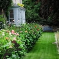 thumbnail image 3 of Backyard Sign Outdoor Lawn Sign Stakes for Easter Decoration, 3 of 7