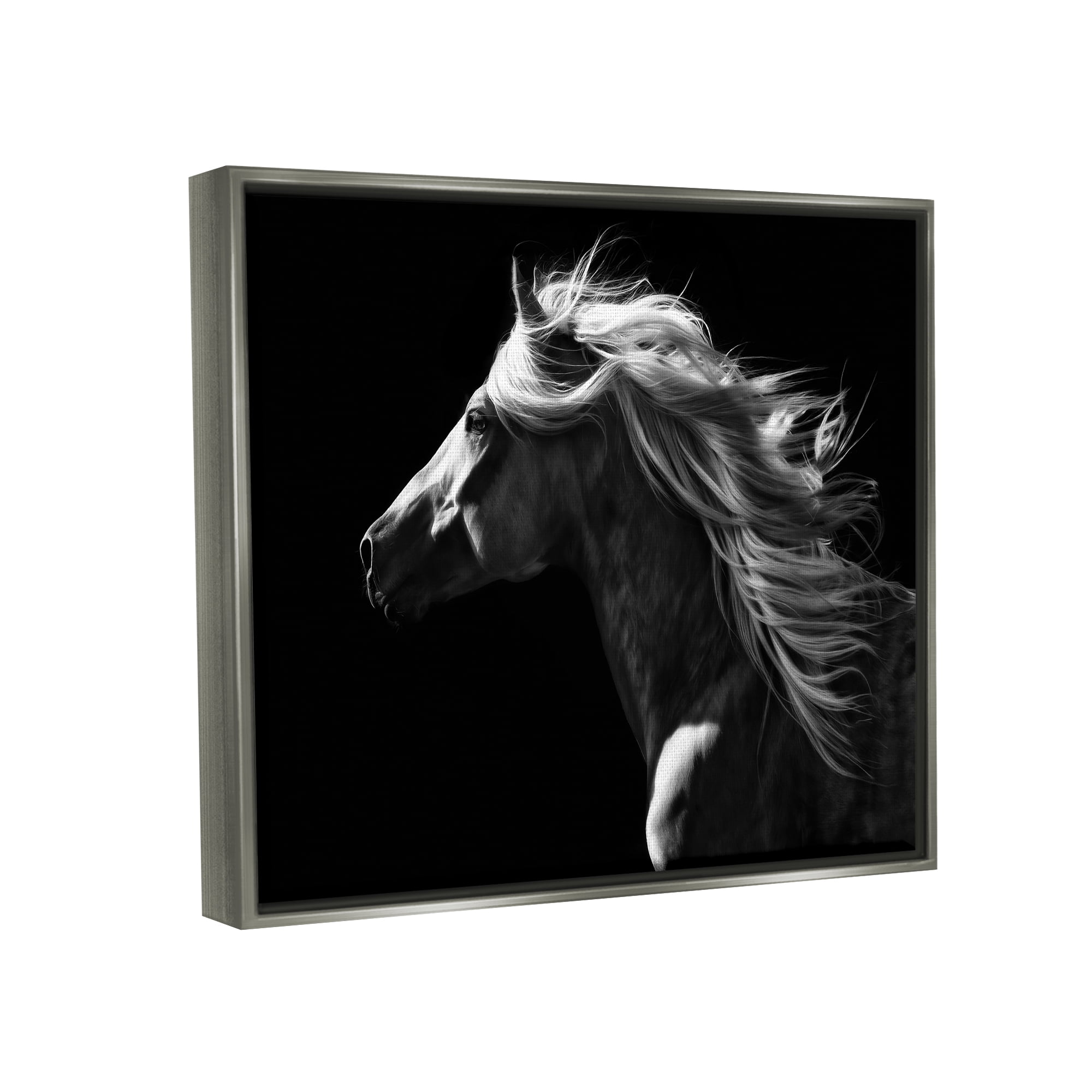Stupell Industries Windblown Stallion Mane Animals & Insects Photography Gray Floater Framed Canvas Art Print Wall Art, 21 x 17