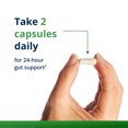 thumbnail image 6 of Metagenics UltraFlora Triplebiotic with Akkermansia- Digestive Supplement for Gut Health & Gut Barrier Function* - Contains Prebiotic, Probiotic & Postbiotic - 30 Capsules, 6 of 9